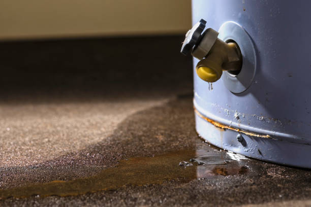 Best Water damage restoration near me  in Early, TX