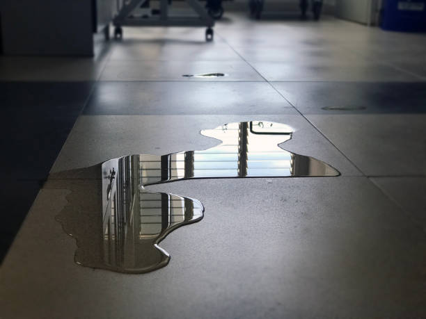 Best 24/7 water damage repair  in Early, TX