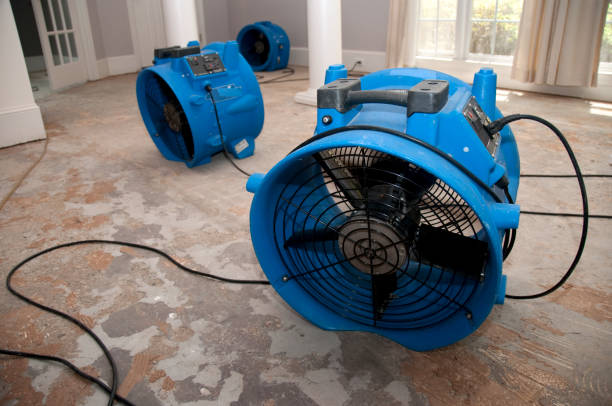  Early, TX Water damage restoration Pros