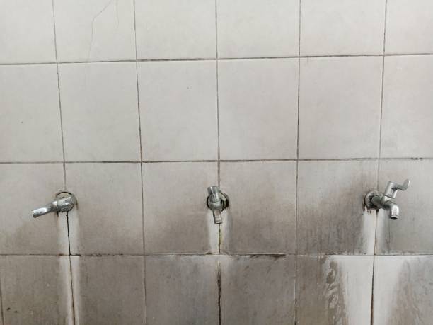 Best Water damage restoration process  in Early, TX