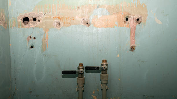 Best Fire Damage Restoration  in Early, TX