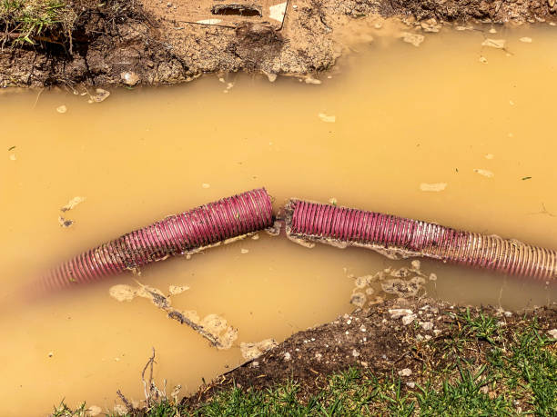 Best Flood restoration services  in Early, TX