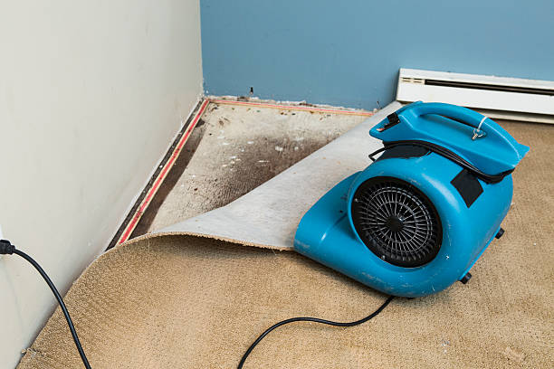 Best Local water damage restoration  in Early, TX